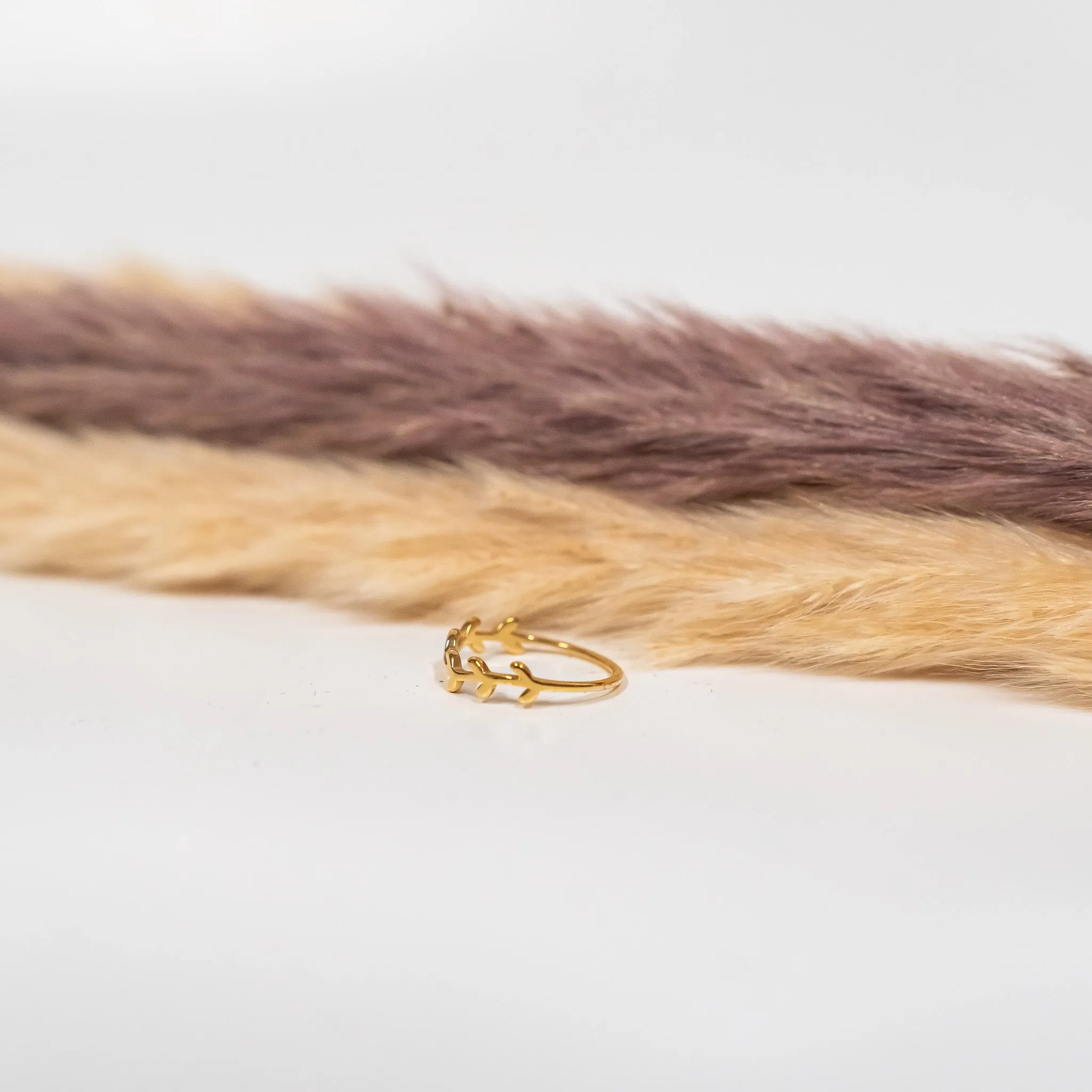 Olive Tree Ring