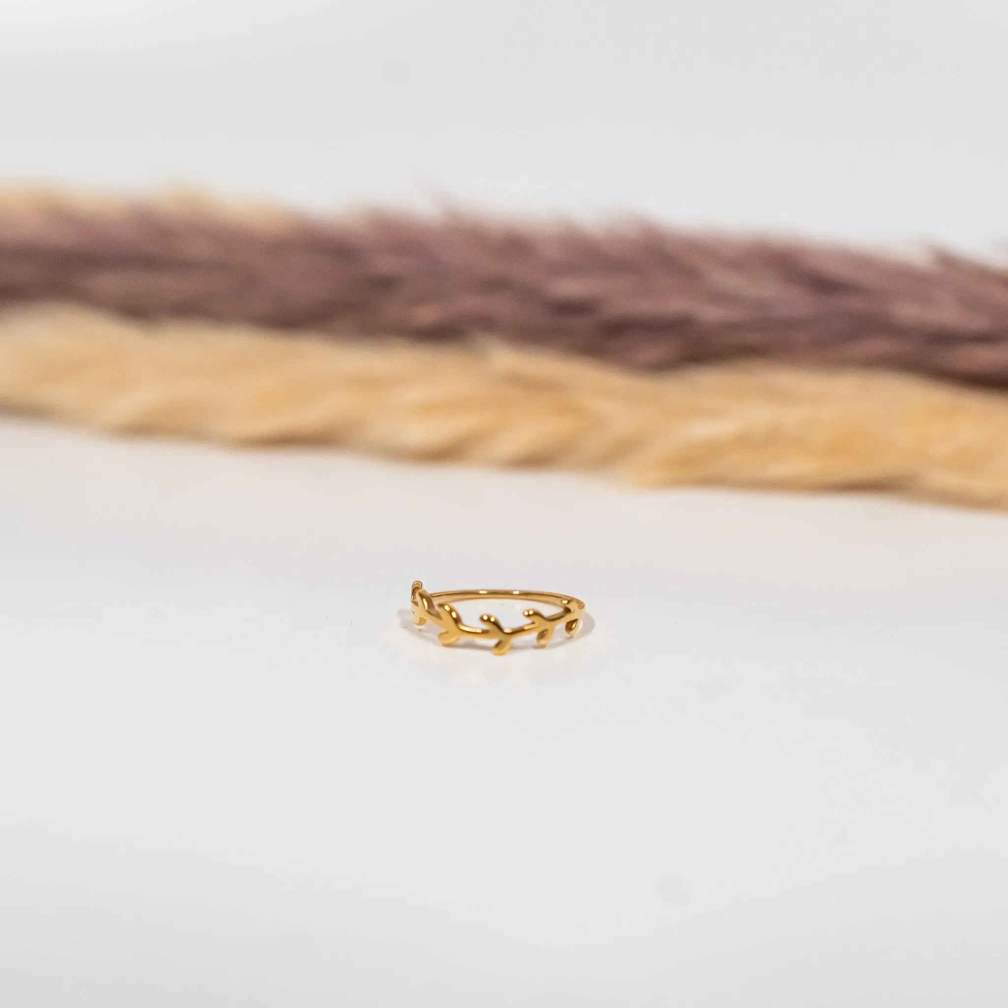 Olive Tree Ring