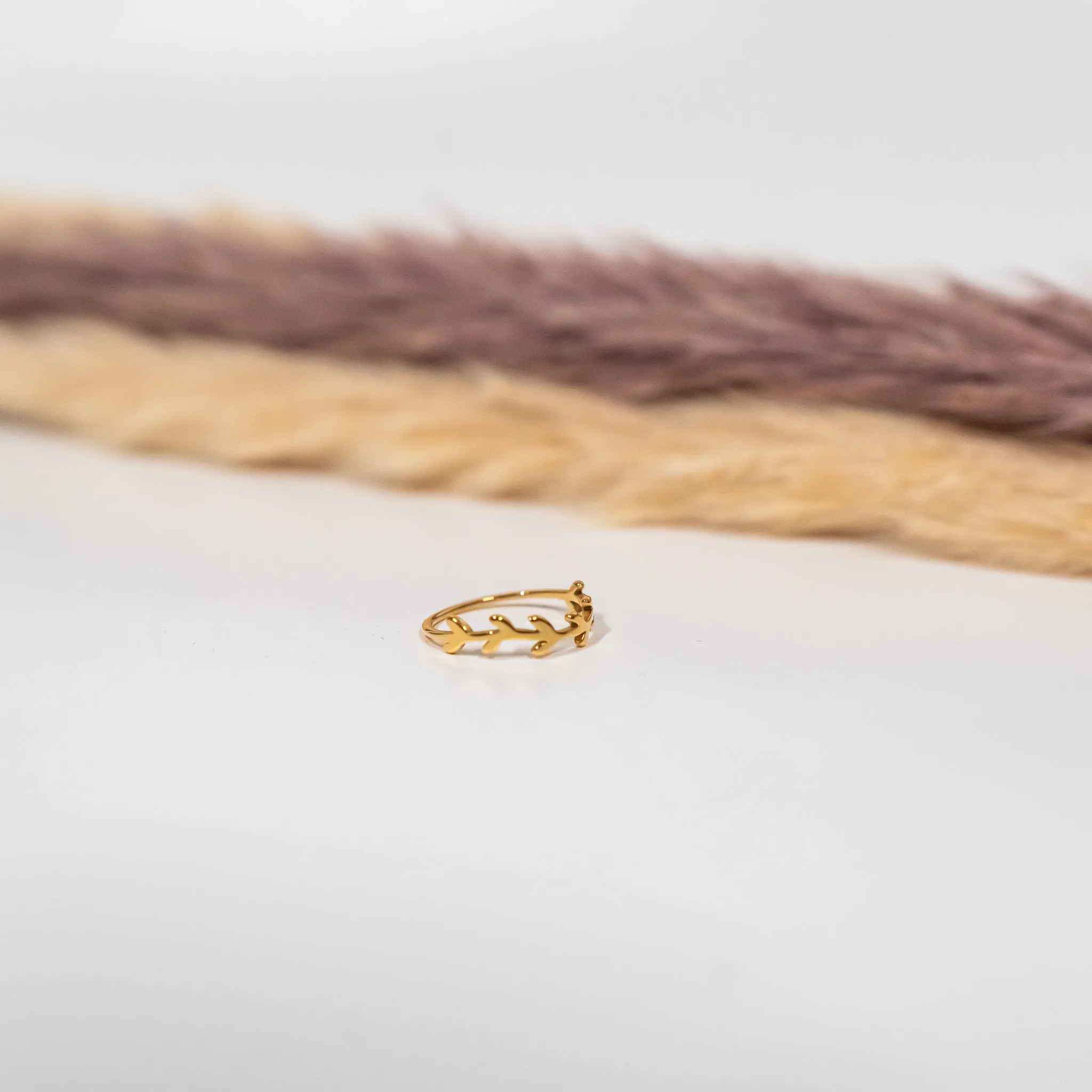 Olive Tree Ring